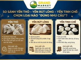 So sánh yến thô – yến rút lông – yến tinh chế: chọn loại nào “đúng nhu cầu”?