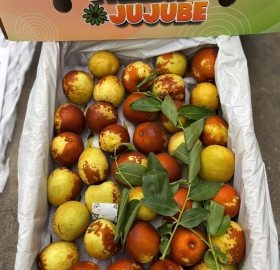 Táo Tàu Vip Hộp Giấy Net 1.3kg 