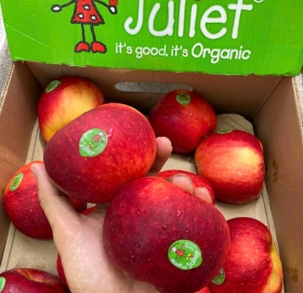 Táo Pháp Juliet size 72