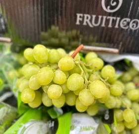  Nho xanh Fruitico Autum Crisp