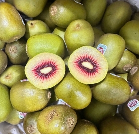 Kiwi đỏ Rubyred Newzealand
