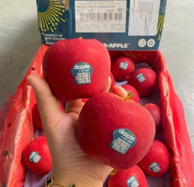 Táo Dazzle